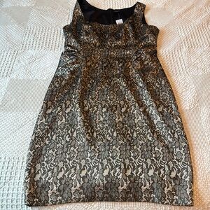 NWT Ann Taylor Dress